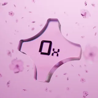 0xConnect Girls