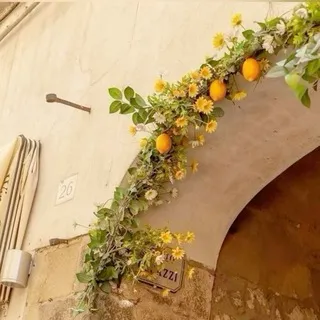 𓆝 𓆟 𓆞 𓆝