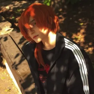 💮 Кошачий Приют 💮