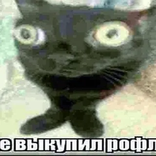 ПОЛТЕРГЕЙСТ БЕНЯ ДЖОКЕР (НЕ БРАТЬ ТРУБКУ)