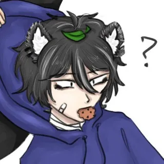 🂡⊹нора енота🦝˟