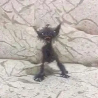 мямеза