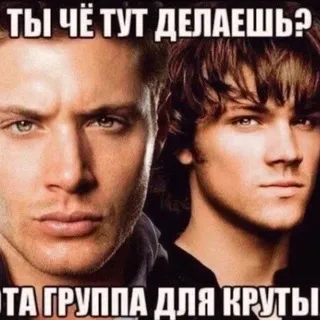 Кладбище слонов