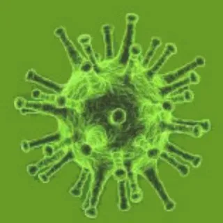 Corona Virus Informationen 2