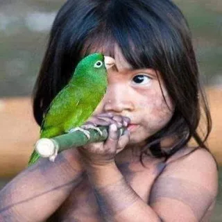 PHOTO COOL