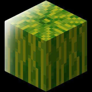 MELON [EVENTS]