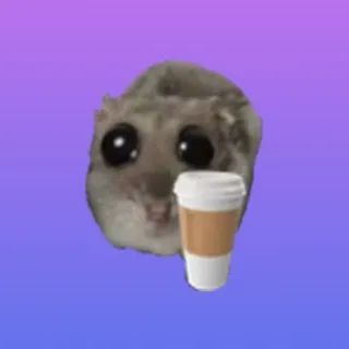 Кофефоточки Live 👻