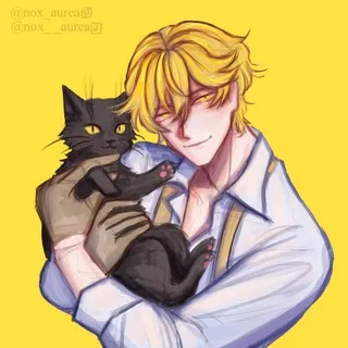 lulumerch x nox_aurea коллект