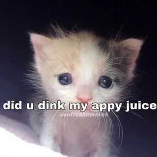 яша штазя (+сеттинговый лор)