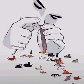 今日猫瘾发作