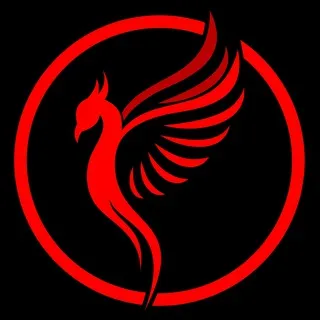 Team Phoenix🐦‍🔥