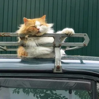 Дача в Подмосковье