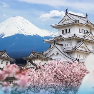 Japan 🇯🇵 Travel & Nightlife Guide
