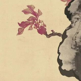 koi 历史爱好者