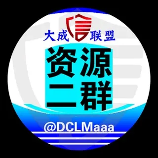 大成联盟出海资源项目交流群2️⃣