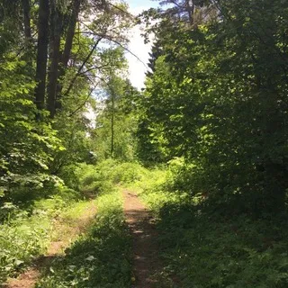 Познай себя