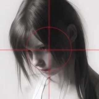 Stellariumwork