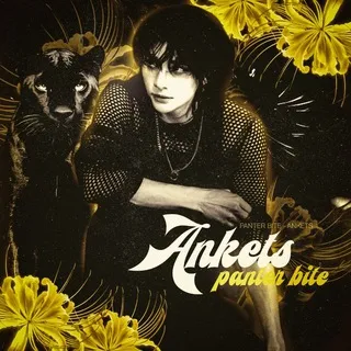 ANKETS