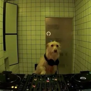 География Шума