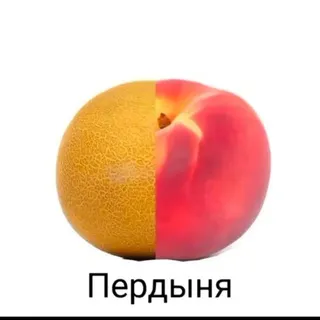 Простофиля свэг йоу