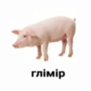 яблочко