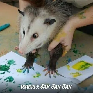 Помойный посс