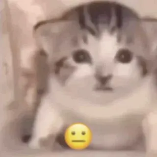 Аптека