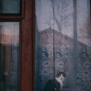здесь живут люди