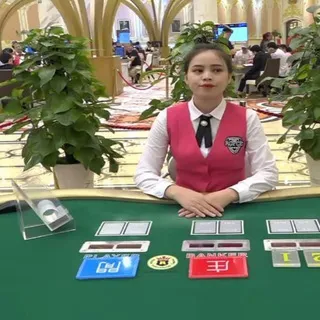 球速体育/代理/官方招商/新盛娱乐/真人/百家乐/PG电子/AG电子/百家乐/棋牌