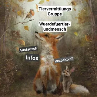 Tiervermittlungsgruppe Chat allgemein (Würde für Tier und Mensch) allgemeiner Austausch
