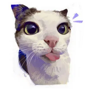 memes?