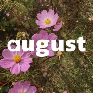 August.storree