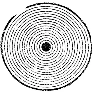 Selector