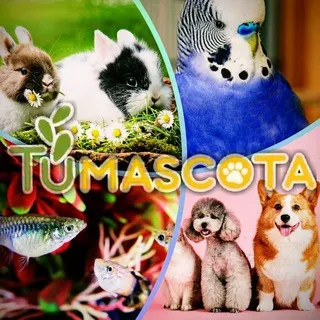 TuMascota🐶