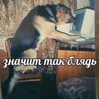 архив | roflscope