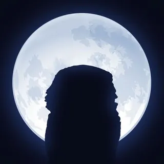 NOT Wise Chat