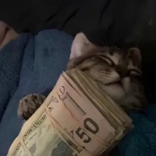 никксаеп
