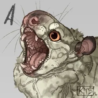 кусиска kusiska