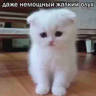 банан !ГГ