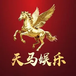 公群K小组120-供押100万U天马娱乐PC2.84超满赔(6.66/6.22超满赔)公群(月结)