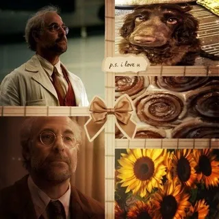 Αϸɾαɦαϻ ξɾʂӄʝηε ° ︵ ✨🌻 ︶ 