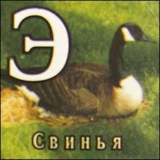 ek-ch