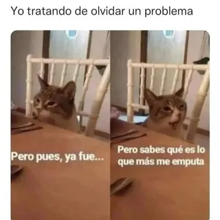 Chat• Inspiración y diversión ✨😎