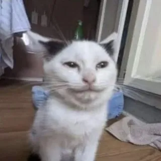 жырности😂😂😂😂