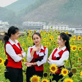 华纳赌场-新加坡赌场