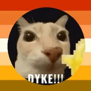гад дэмн🤠⚢🐴