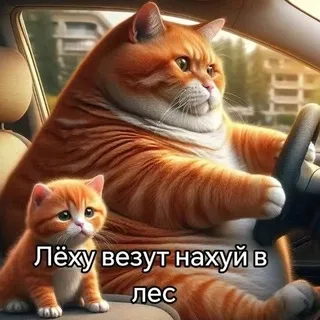 ᵎᵎ.Ꮧёхᴀ бᴧᴏᴦ