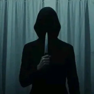 Terror Sin Límites