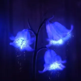 ąɠrơ