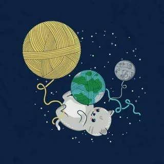 🐈 Gatos, ¡y más! 🐾